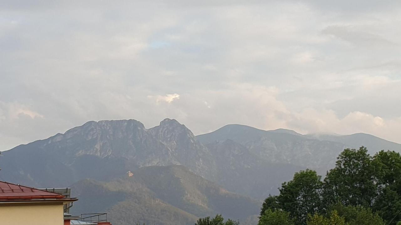 Villa Fortuna - Regionalne Apartamenty & Spa - Sauna, Grill, Jacuzzi Z Widokiem Na Tatry Zakopane Buitenkant foto