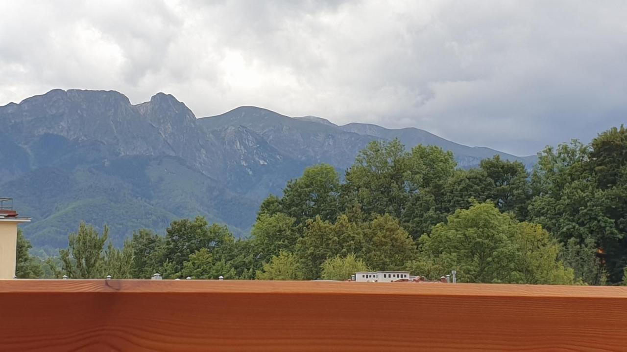 Villa Fortuna - Regionalne Apartamenty & Spa - Sauna, Grill, Jacuzzi Z Widokiem Na Tatry Zakopane Buitenkant foto